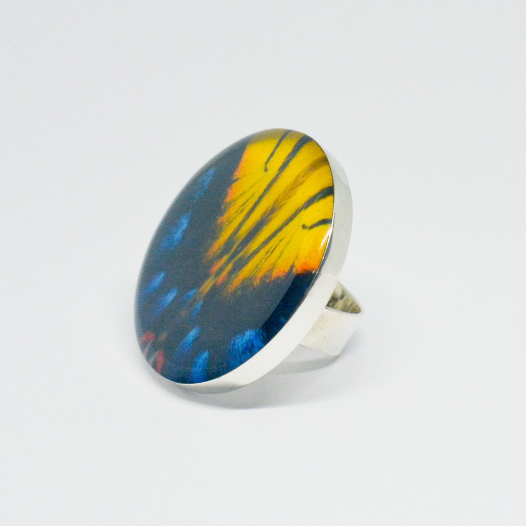 Anillo Redondo Alas de Mariposa Tigre